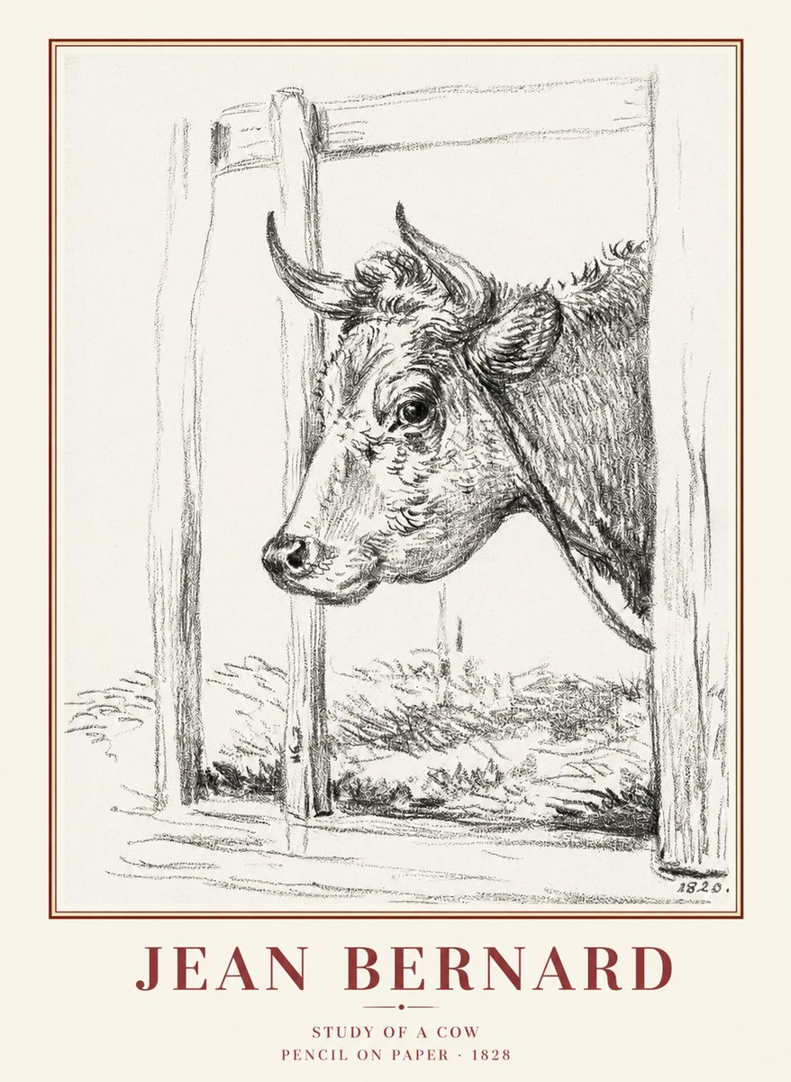 Jean Bernard Study of a Cow XVIII No1 - Plakat