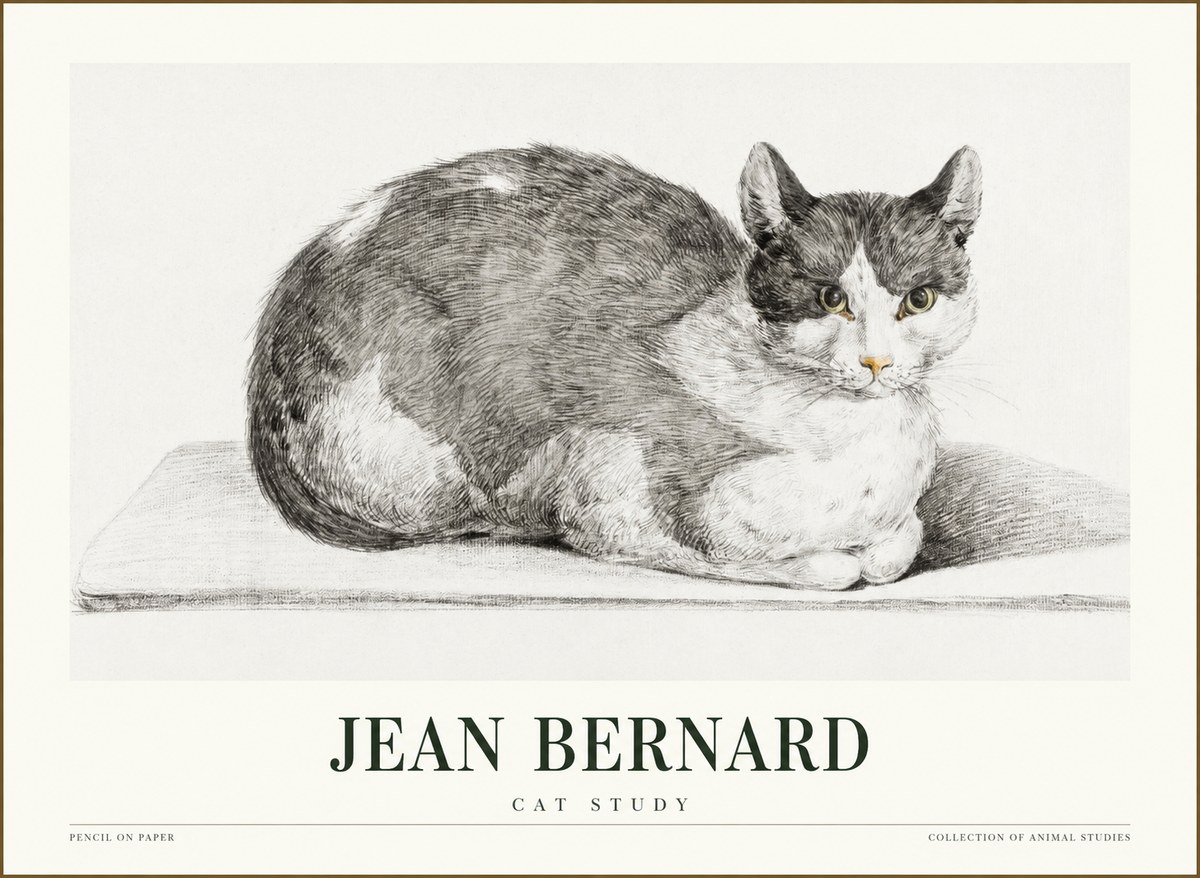 Jean Bernard Cat Study XI No1 - Plakat