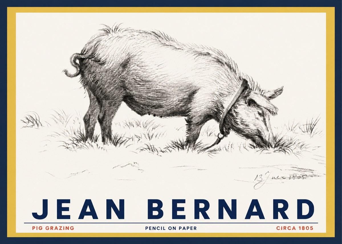 Jean Bernard Pig Grazing No3 - Plakat