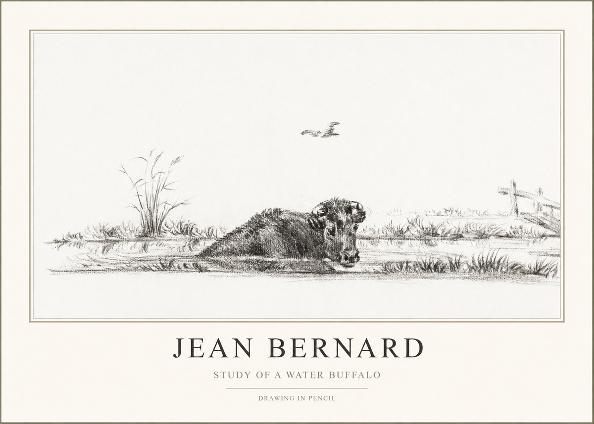 Jean Bernard Study of a Water Buffalo No1 - Plakat