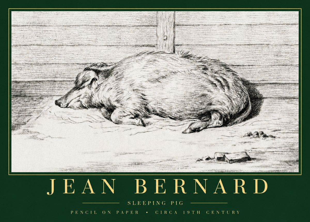 Jean Bernard Sleeping Pig I No3 - Plakat