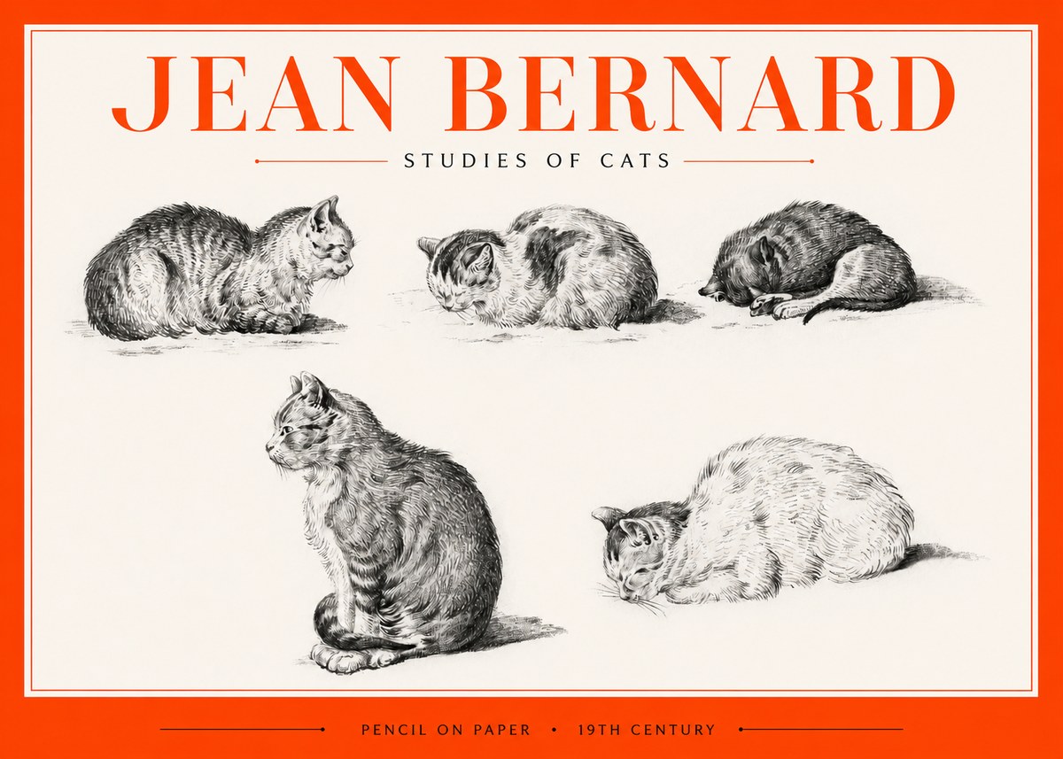 Jean Bernard Studies of Cats No2 - Plakat