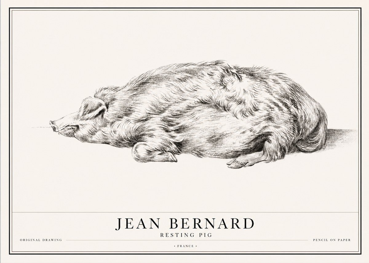 Jean Bernard Resting Pig II No1 - Plakat