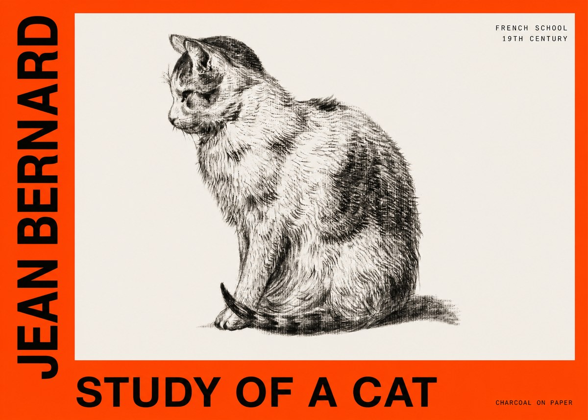 Jean Bernard Study of a Cat IV No6 - Plakat