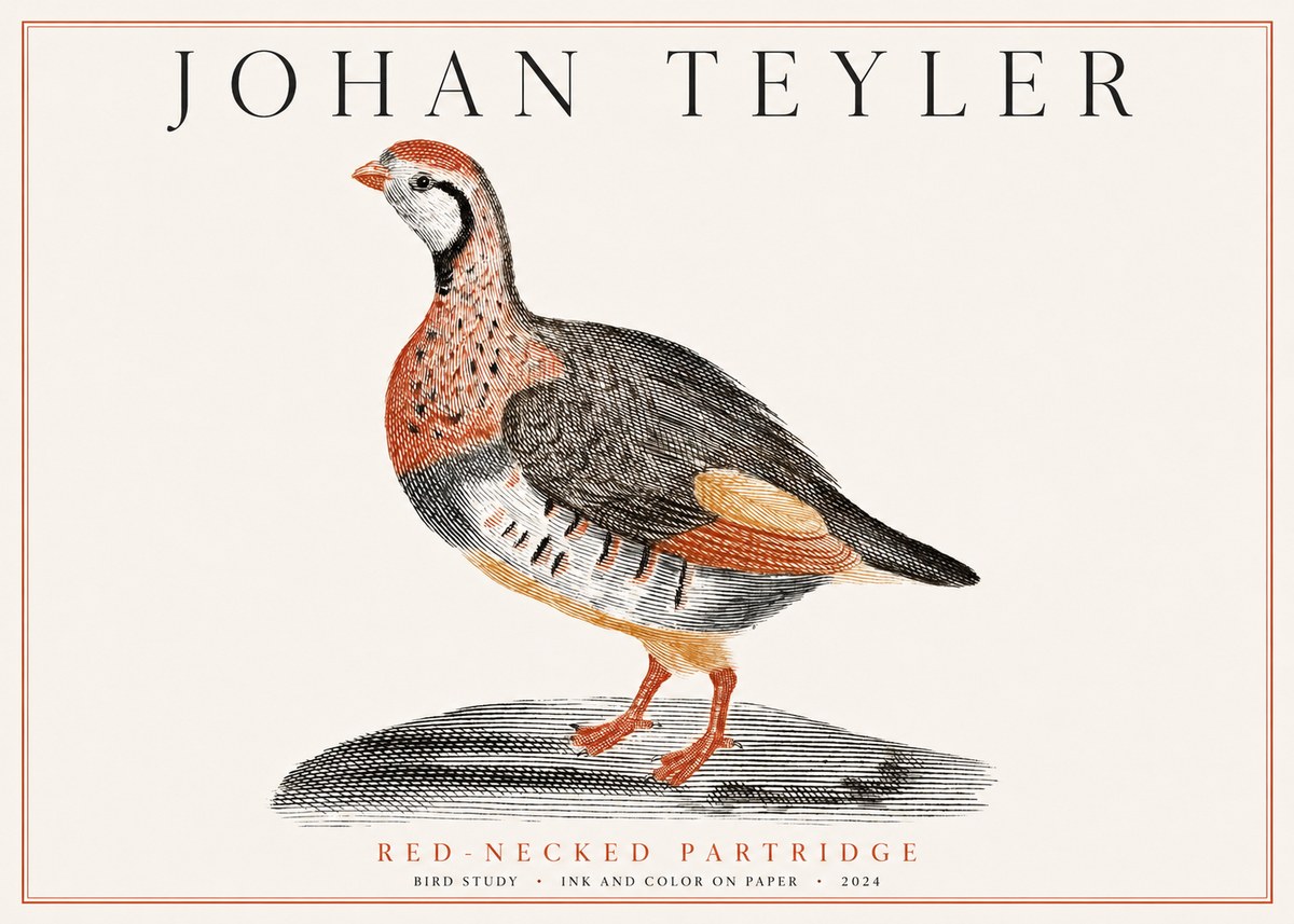 Johan Teyler Red-necked Partridge No1 - Plakat