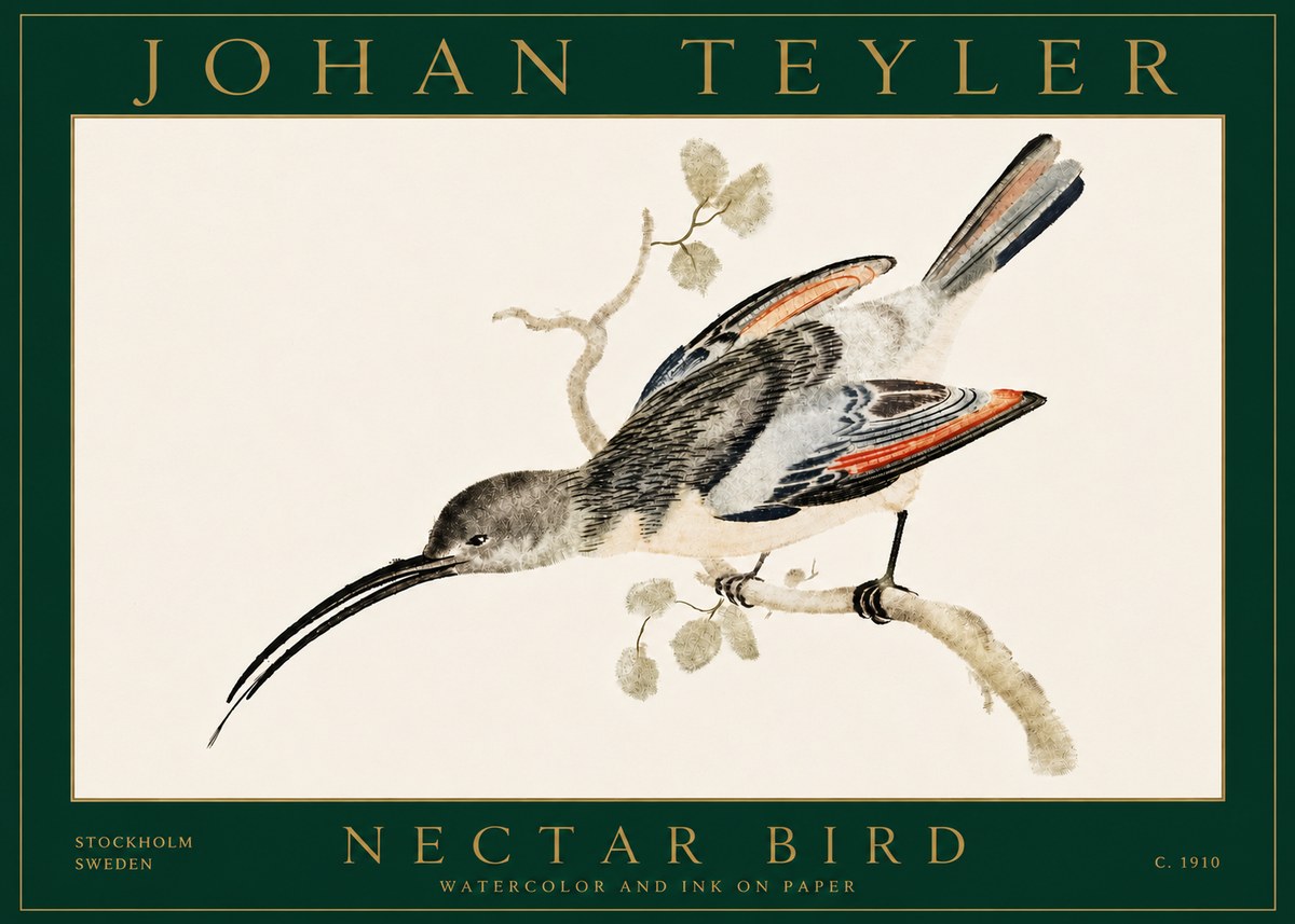 Johan Teyler Nectar Bird No5 - Plakat