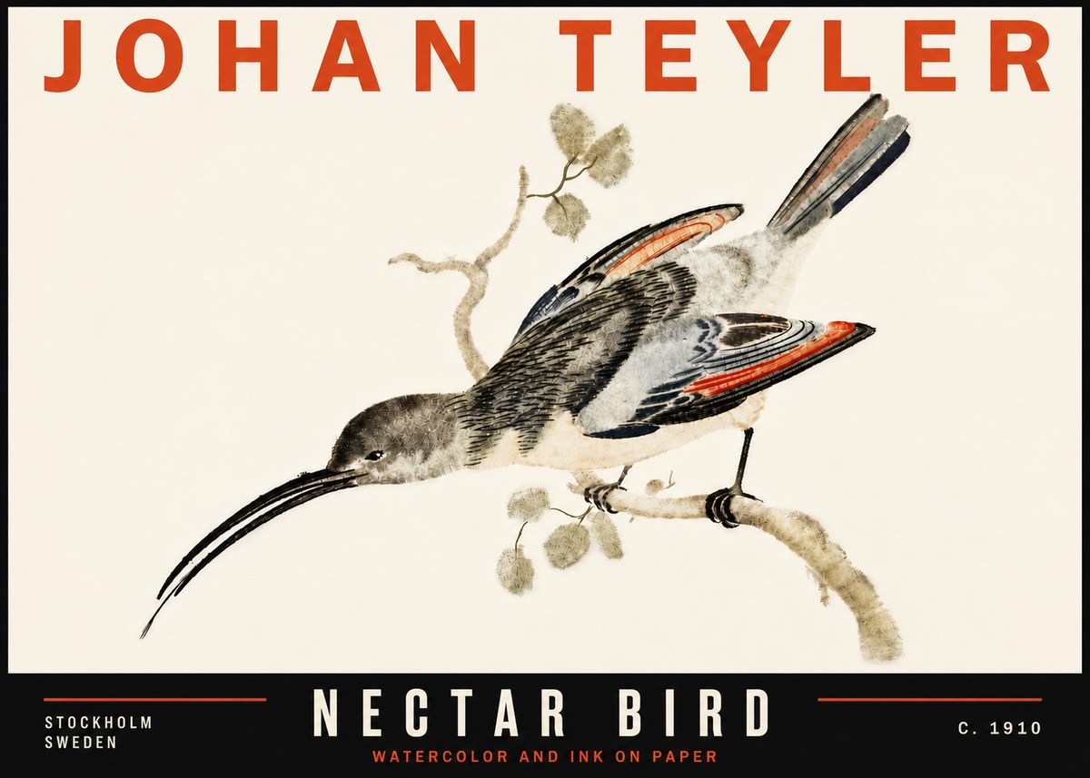 Johan Teyler Nectar Bird No6 - Plakat