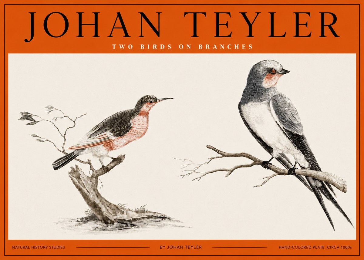 Johan Teyler Two Birds on Branches No2 - Plakat