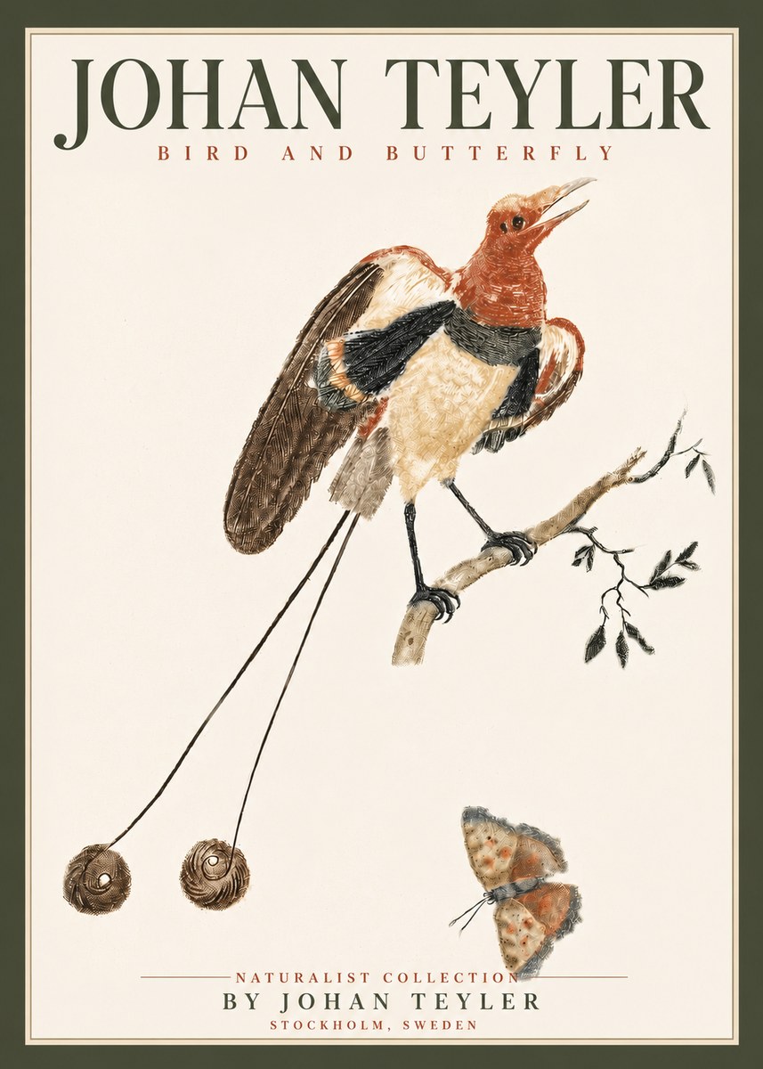 Johan Teyler Bird and Butterfly No4 - Plakat