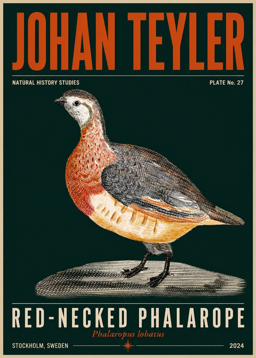 Johan Teyler Red-necked Phalarope No5 - Plakat