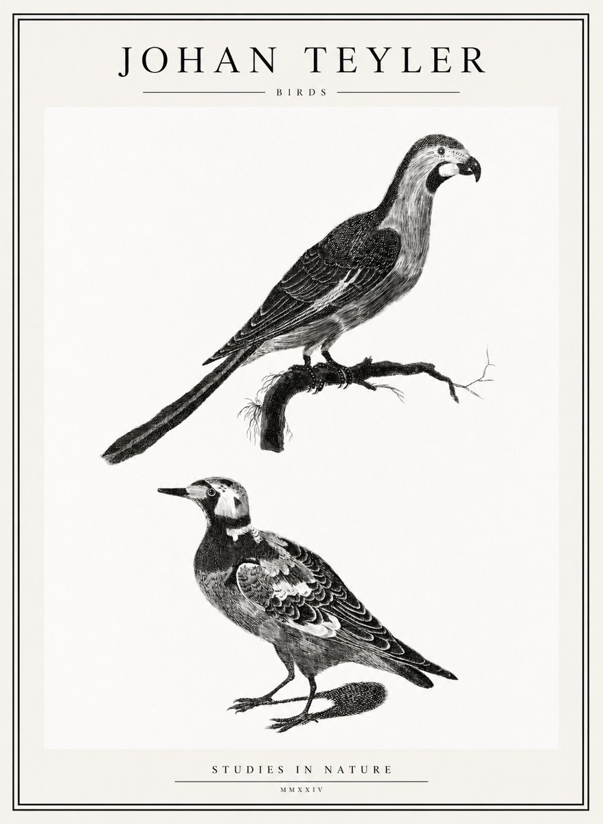 Johan Teyler Birds - Study of Two Species No2 - Plakat