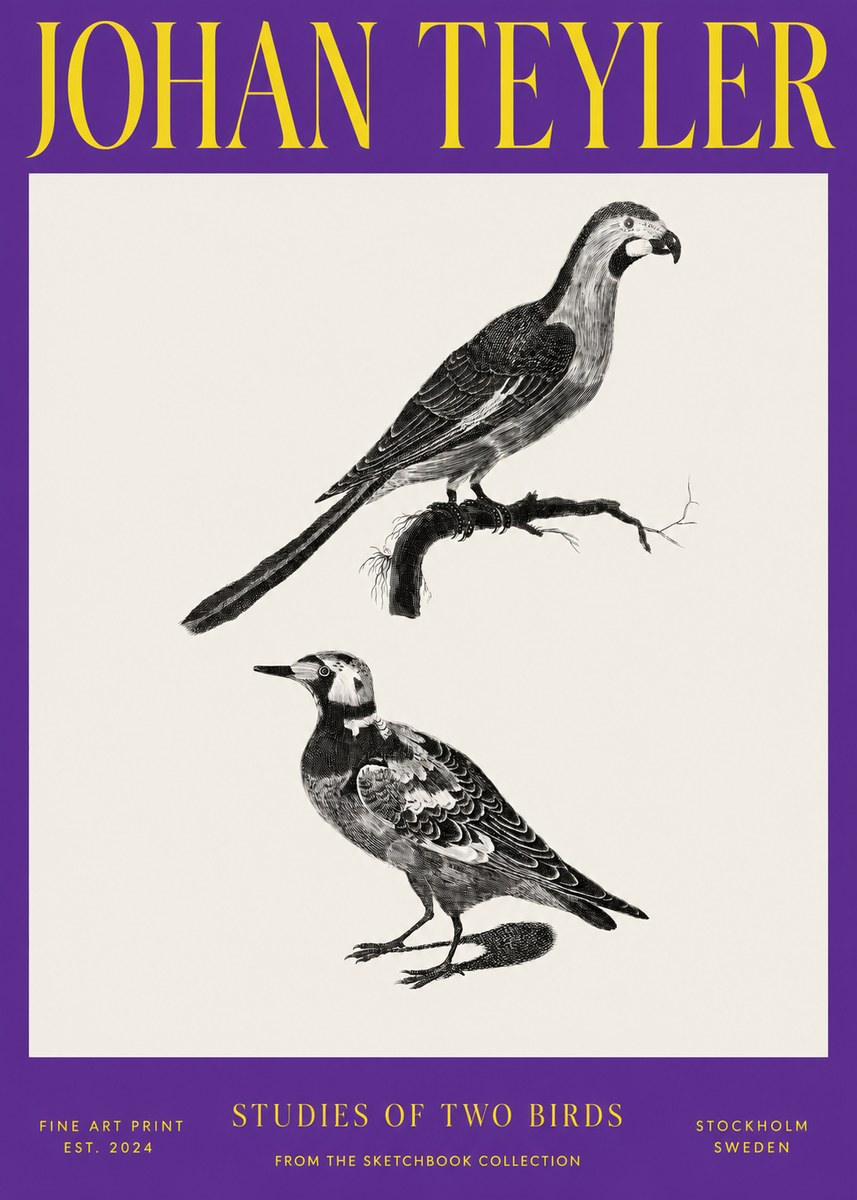 Johan Teyler Birds - Study of Two Species No4 - Plakat