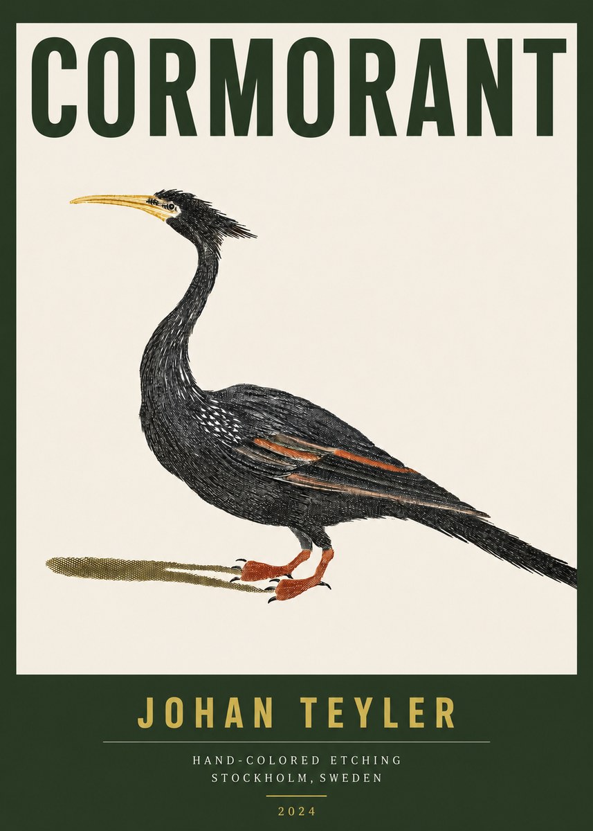 Johan Teyler Cormorant No3 - Plakat