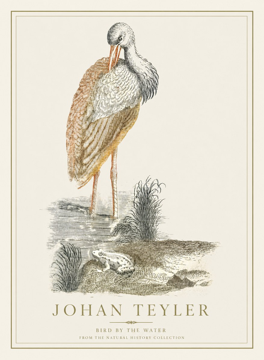 Johan Teyler Bird by the Water No1 - Plakat