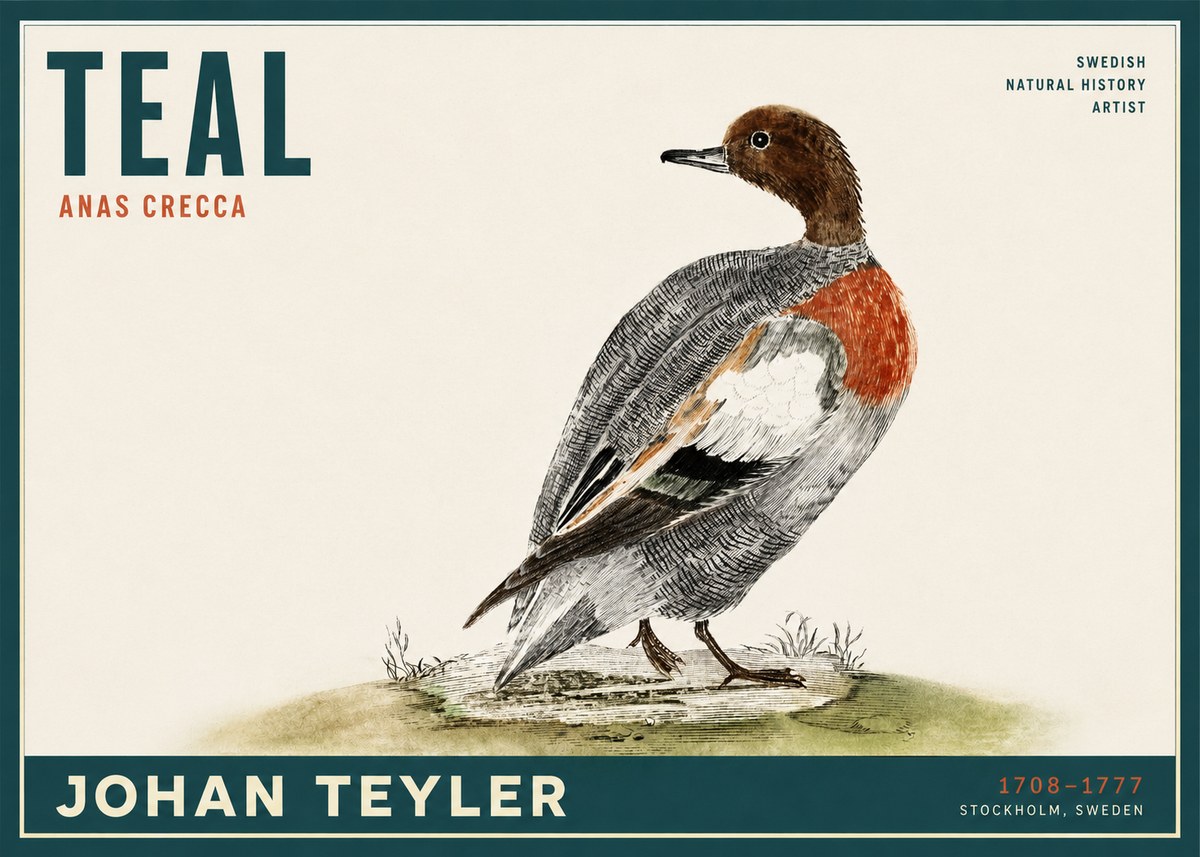 Johan Teyler Teal No2 - Plakat