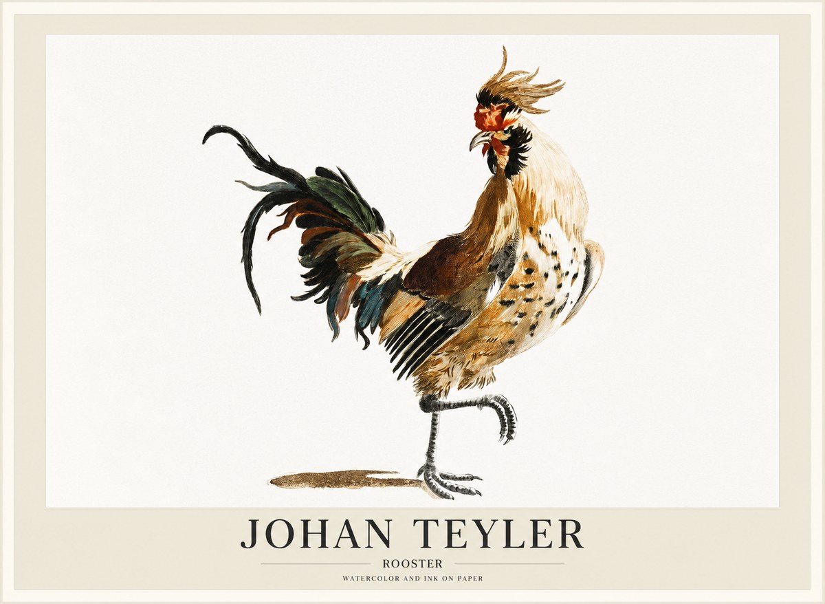 Johan Teyler Rooster No1 - Plakat