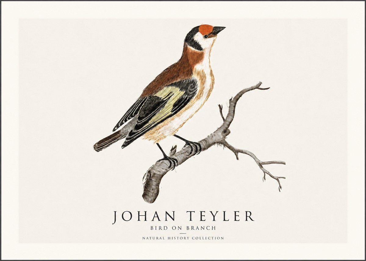 Johan Teyler Song of the Finch No2 - Plakat