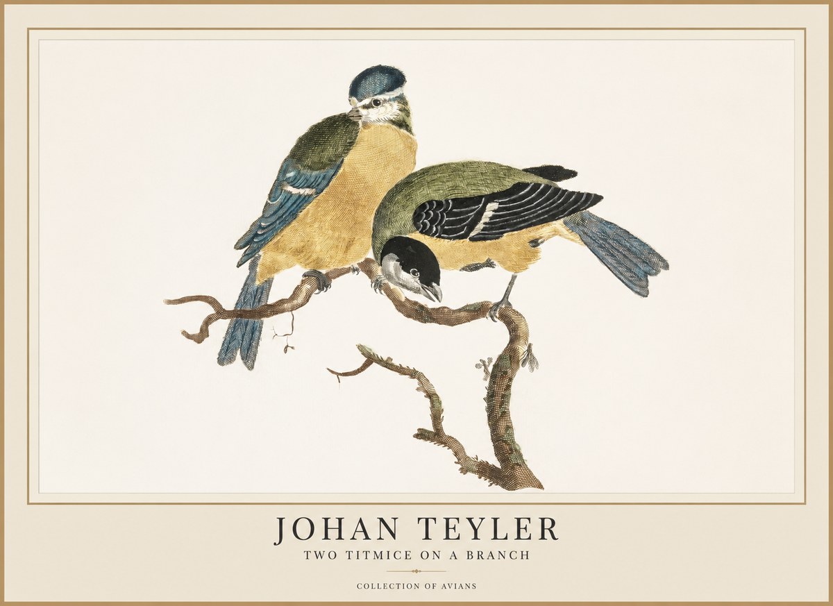 Johan Teyler Two Titmice on a Branch No1 - Plakat