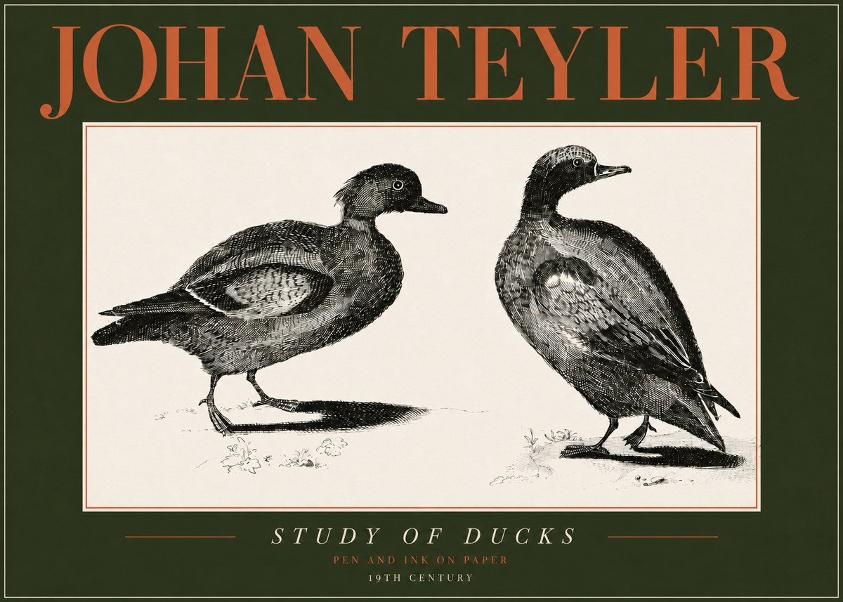 Johan Teyler Study of Ducks No4 - Plakat