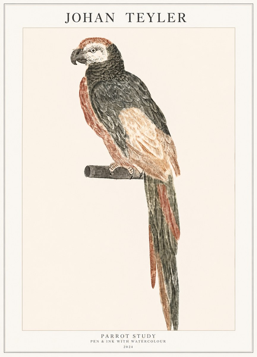 Johan Teyler Parrot Study II No1 - Plakat