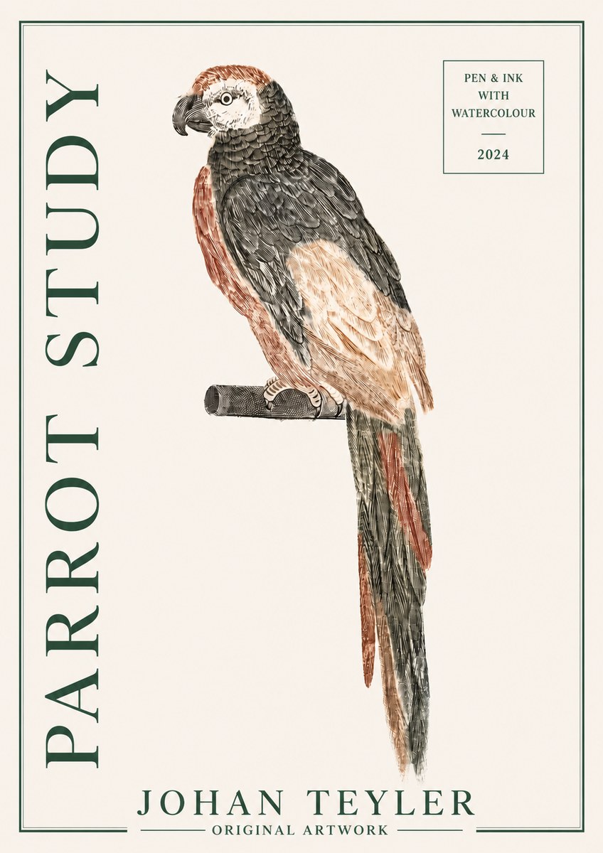 Johan Teyler Parrot Study II No3 - Plakat