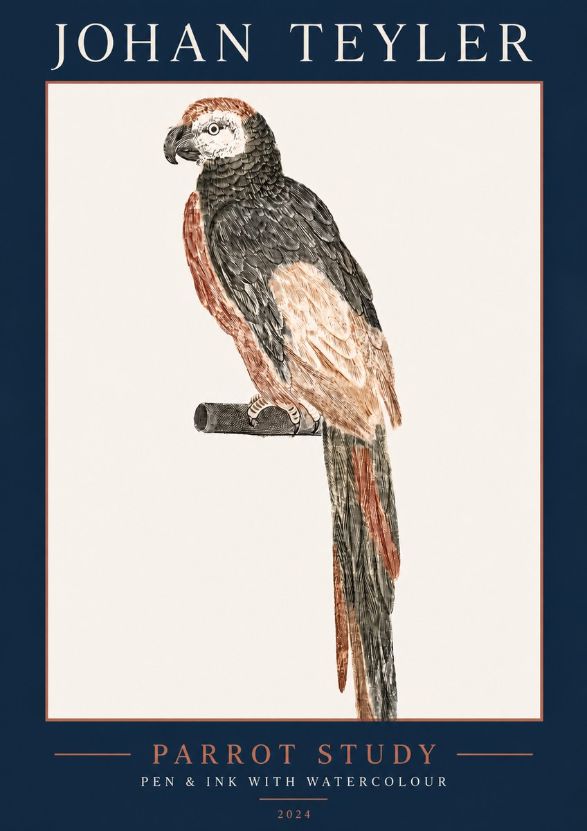 Johan Teyler Parrot Study II No5 - Plakat