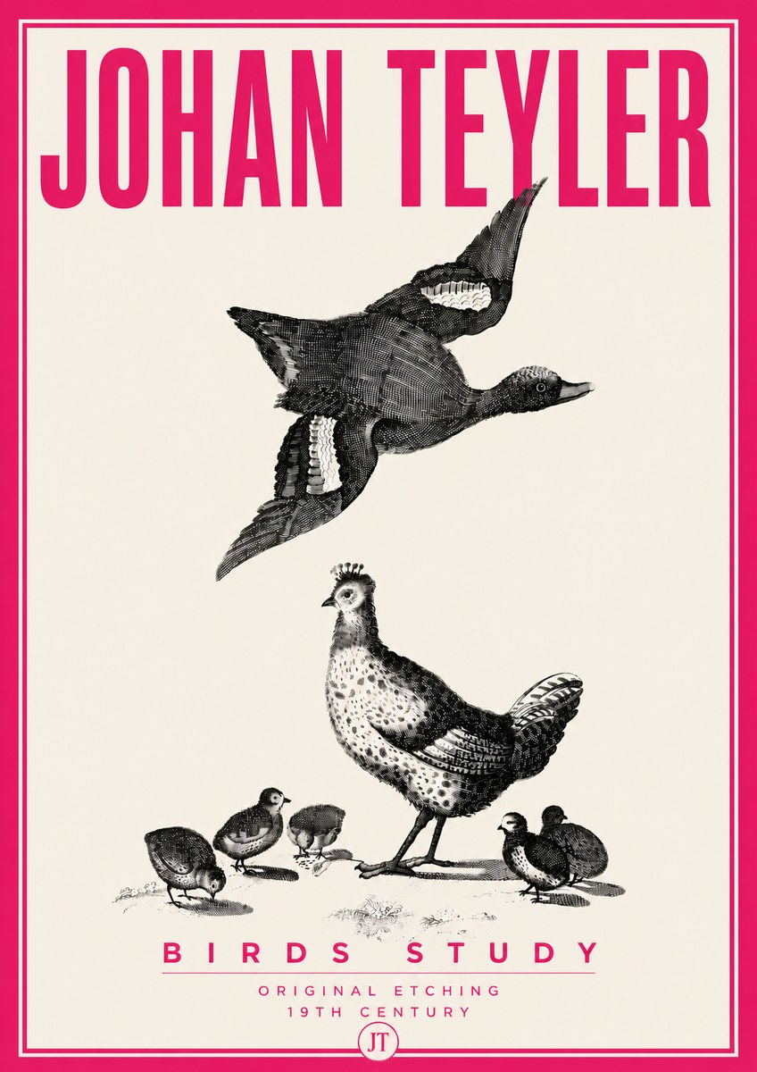 Johan Teyler Birds Study No6 - Plakat