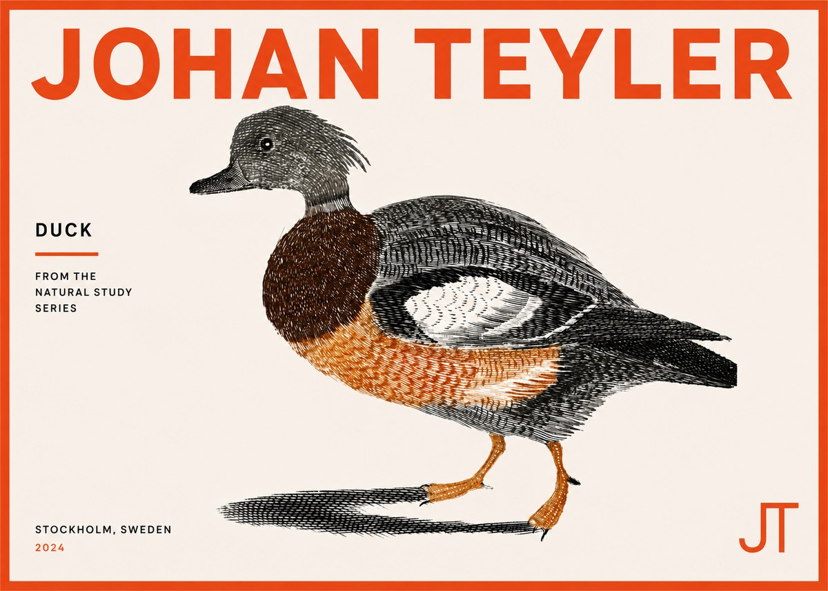 Johan Teyler Duck II No5 - Plakat