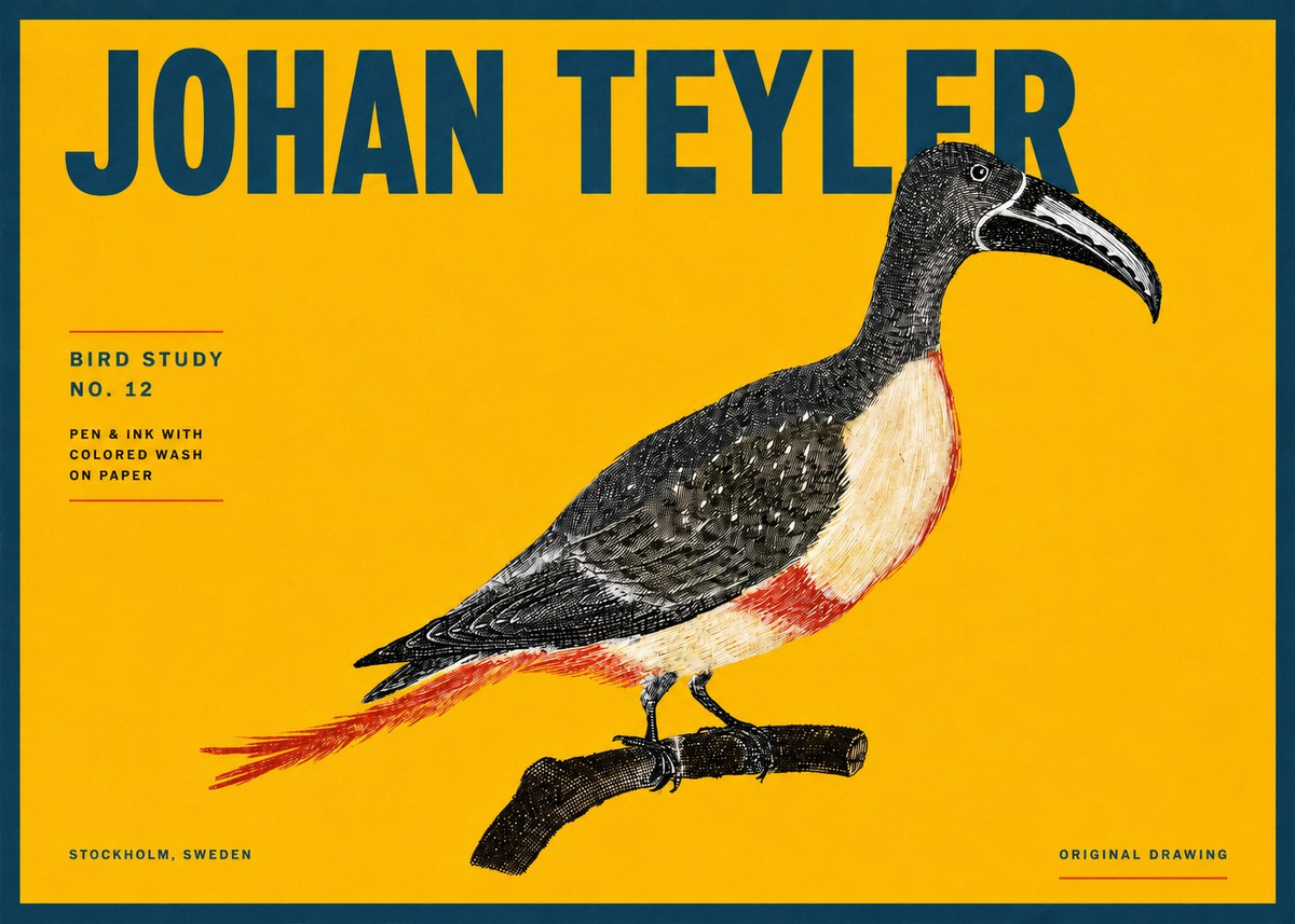 Johan Teyler Bird Study No. 12 - Original Drawing No4 - Plakat