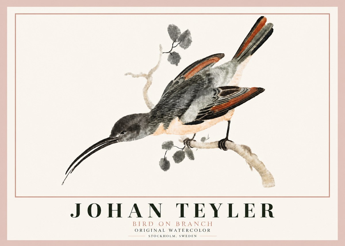 Johan Teyler Bird on Branch II No3 - Plakat