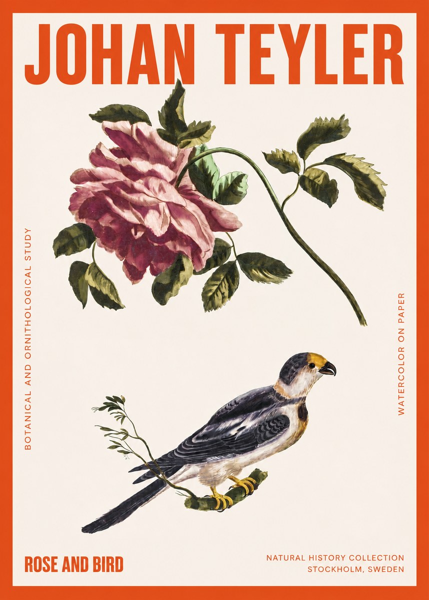 Johan Teyler Rose and Bird I No2 - Plakat