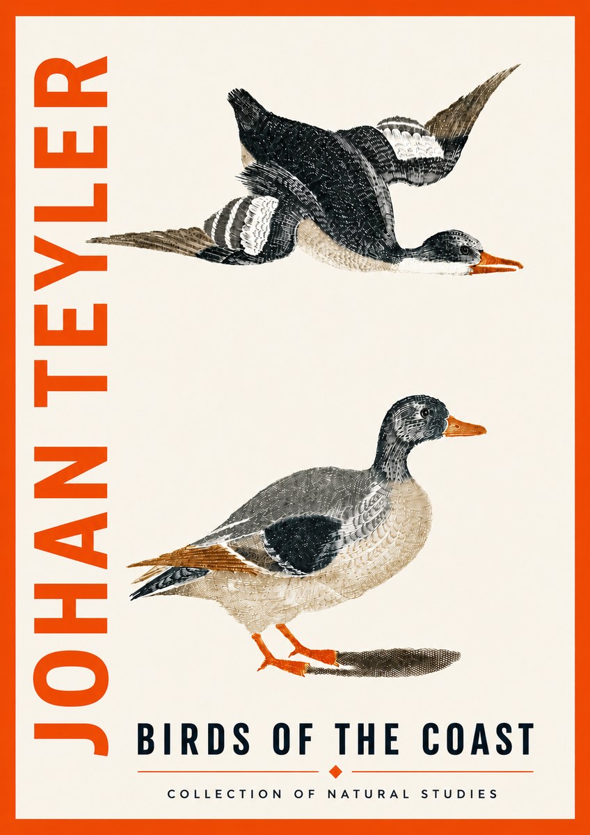 Johan Teyler Birds of the Coast No5 - Plakat