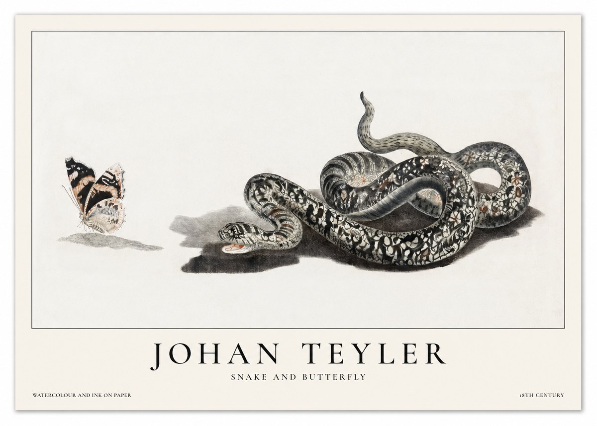 Johan Teyler Snake and Butterfly No1 - Plakat