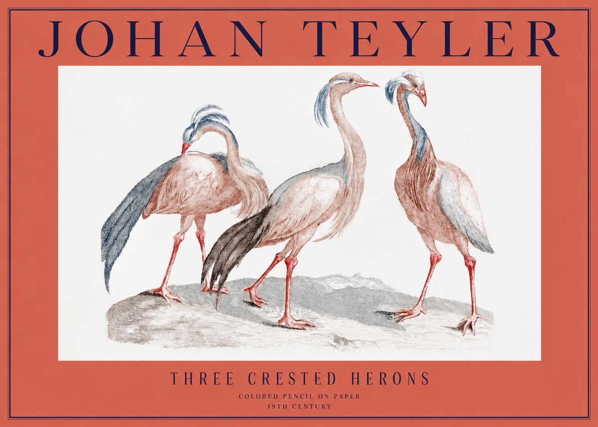 Johan Teyler Three Crested Herons No2 - Plakat