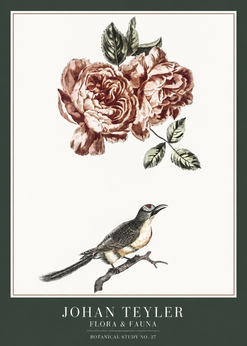 Johan Teyler Rose and Bird II No6 - Plakat