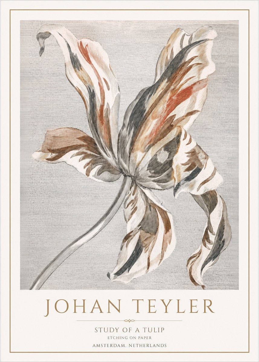 Johan Teyler Study of a Tulip No1 - Plakat
