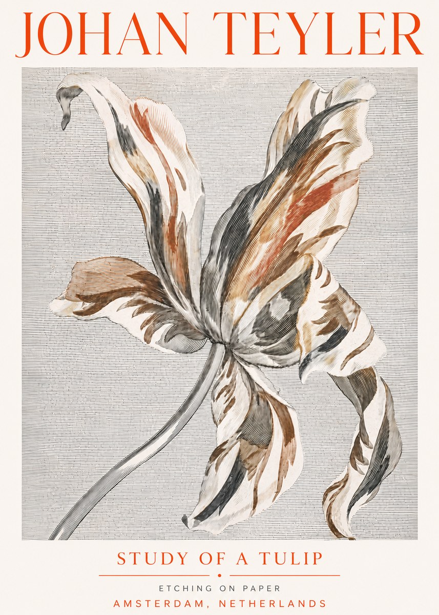 Johan Teyler Study of a Tulip No5 - Plakat