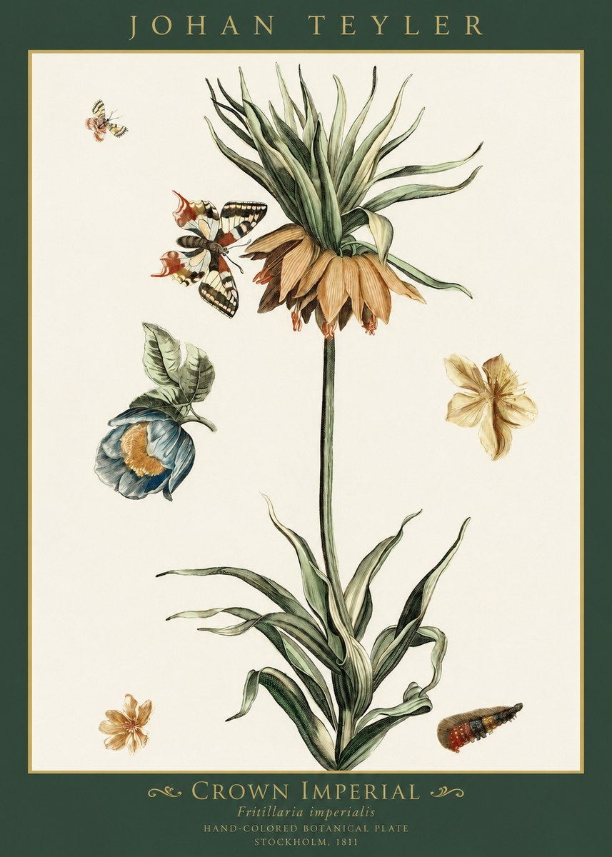 Johan Teyler Crown Imperial No1 - Plakat