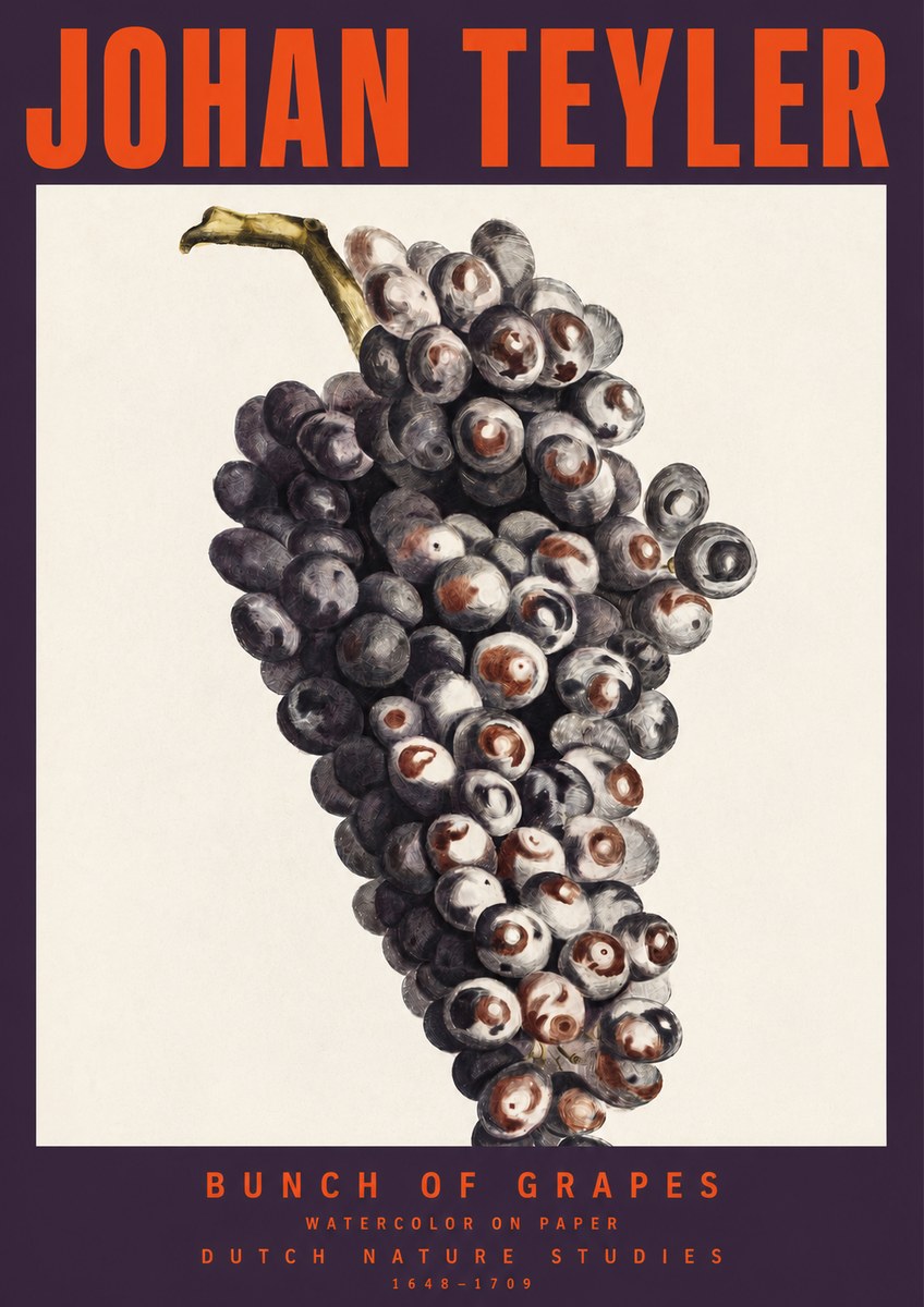 Johan Teyler Bunch of Grapes No2 - Plakat