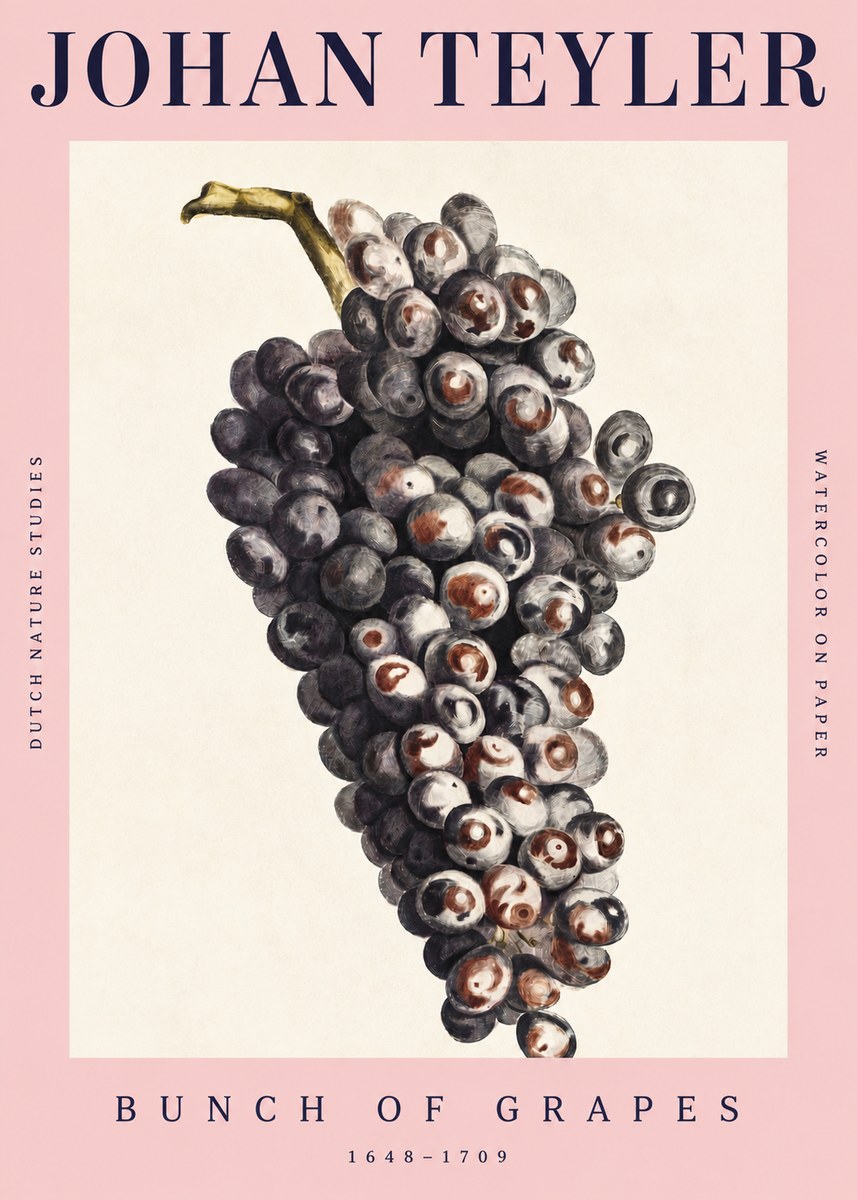 Johan Teyler Bunch of Grapes No4 - Plakat