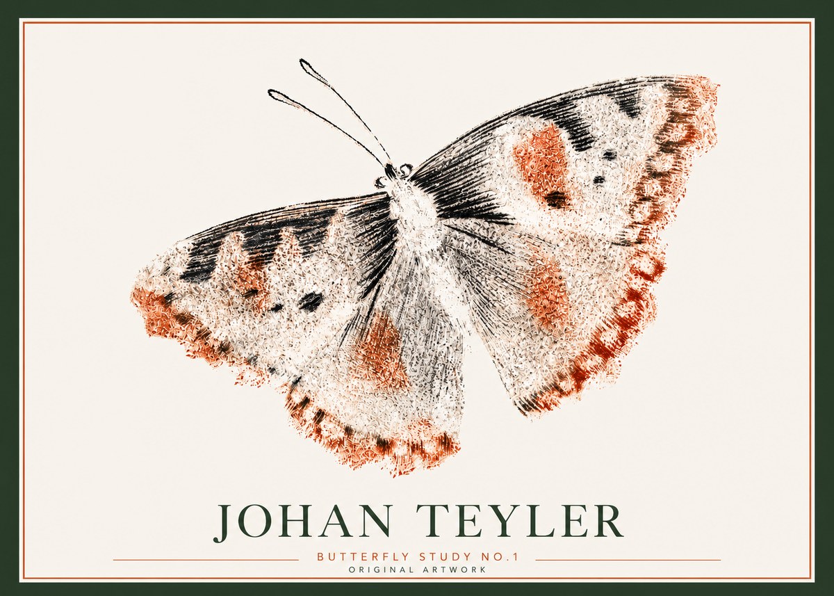 Johan Teyler Butterfly Study No.1 No3 - Plakat