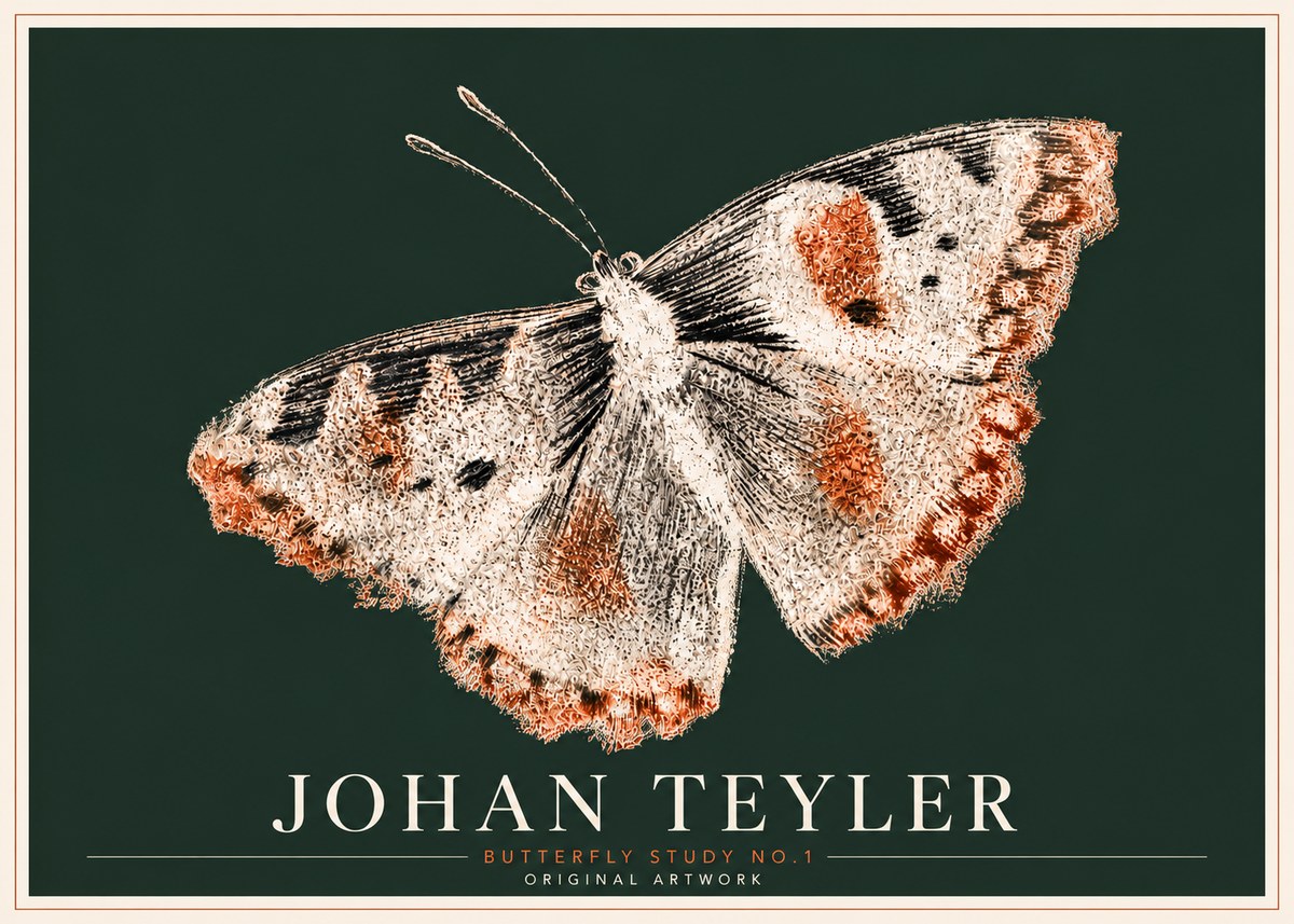 Johan Teyler Butterfly Study No.1 No6 - Plakat