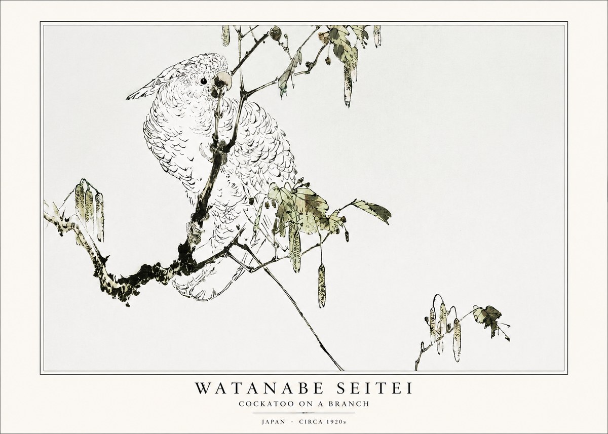 Watanabe Seitei Cockatoo on a Branch No1 - Plakat