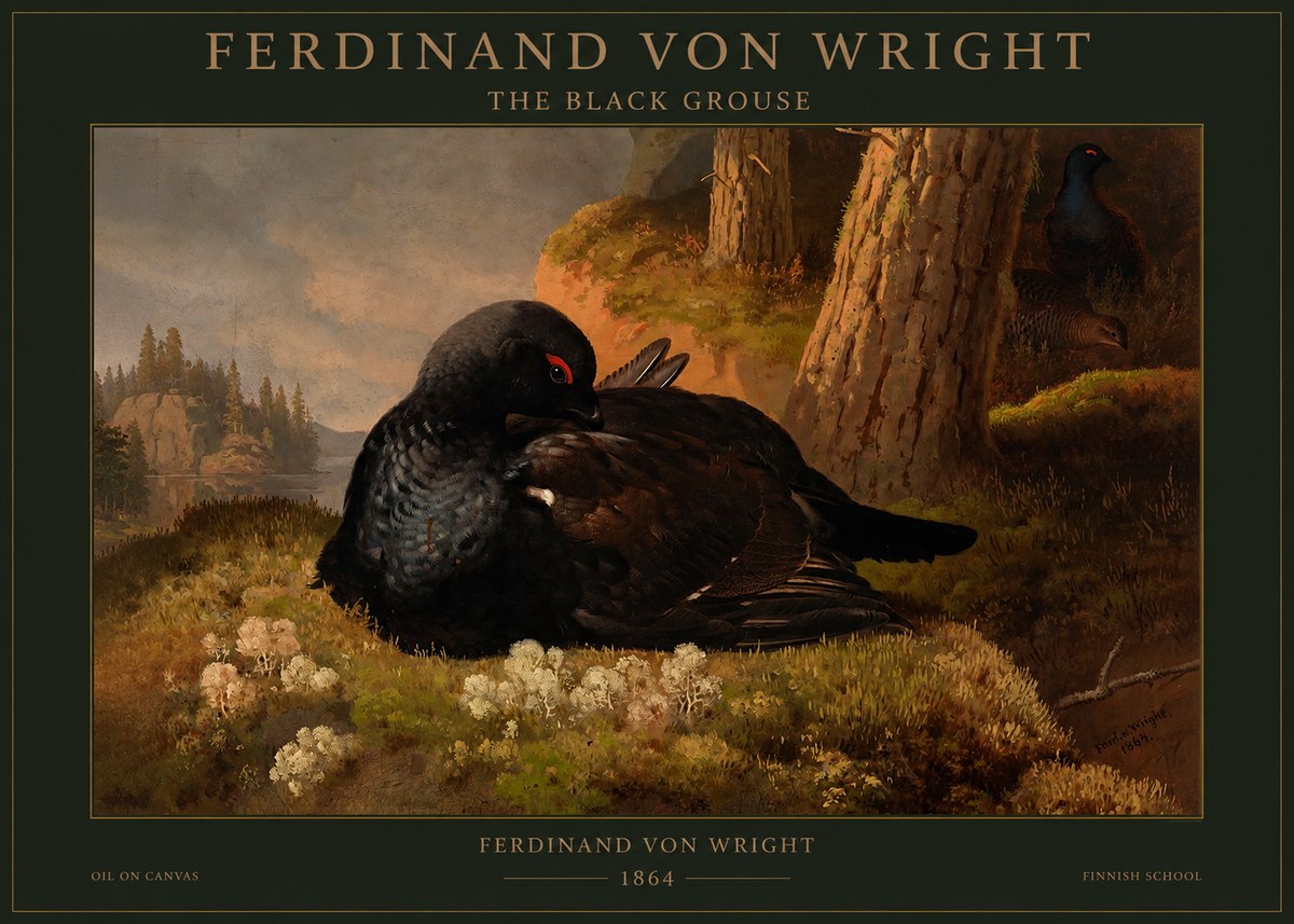 Ferdinand von Wright The Black Grouse No1 - Plakat