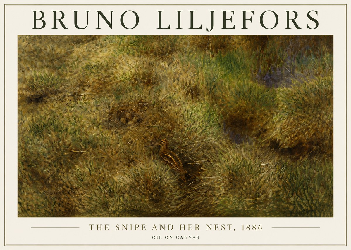 Bruno Liljefors The Snipe and Her Nest No5 - Plakat