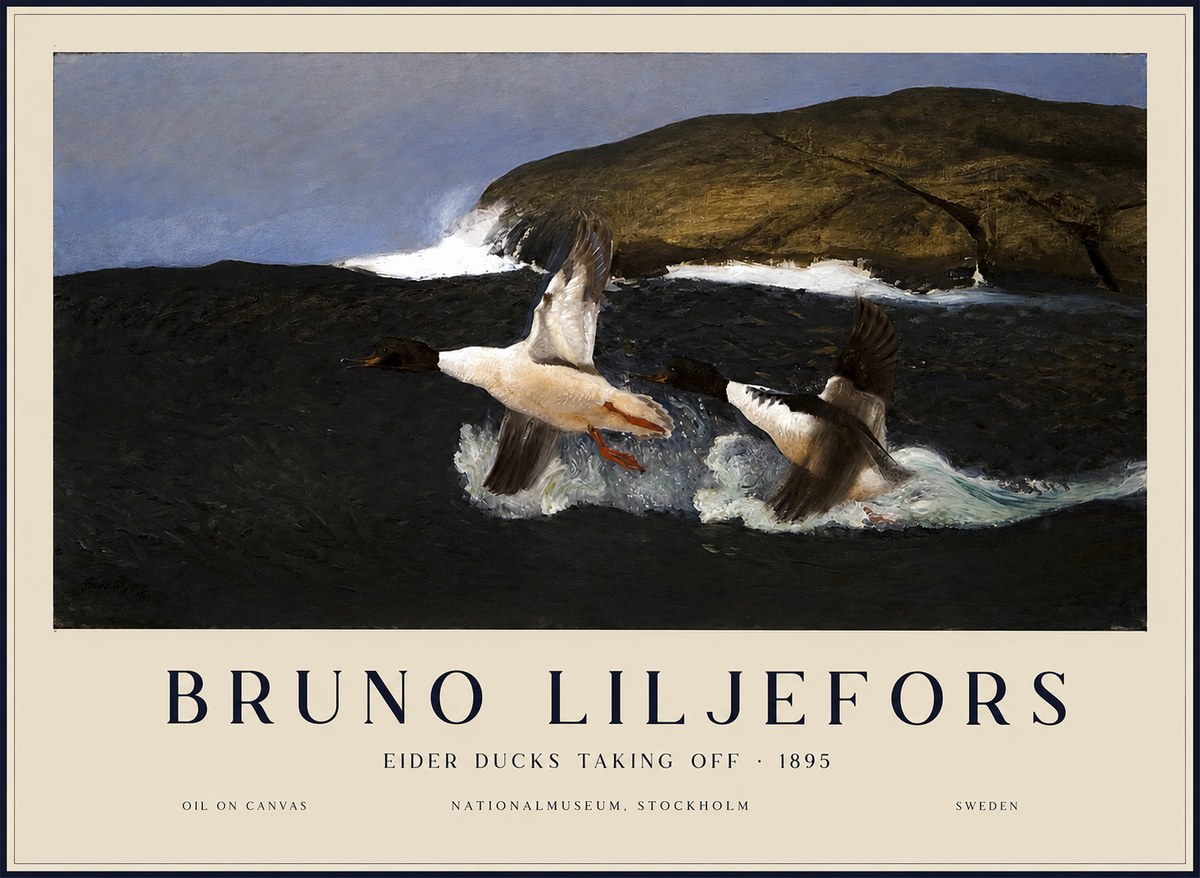 Bruno Liljefors Ducks Taking Flight No3 - Plakat