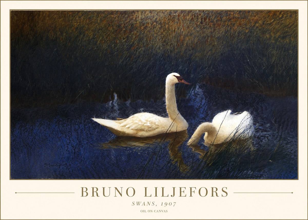 Bruno Liljefors Swans, 1907 No1 - Plakat