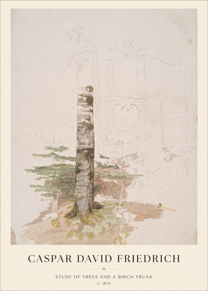 Caspar David Friedrich Study of Trees and a Birch Trunk No1 - Plakat