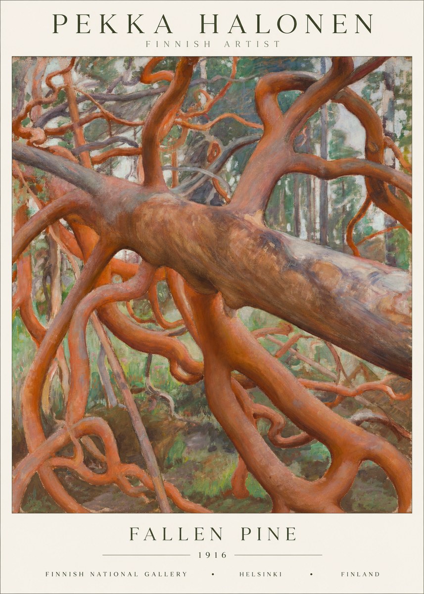 Pekka Halonen Fallen Pine No1 - Plakat
