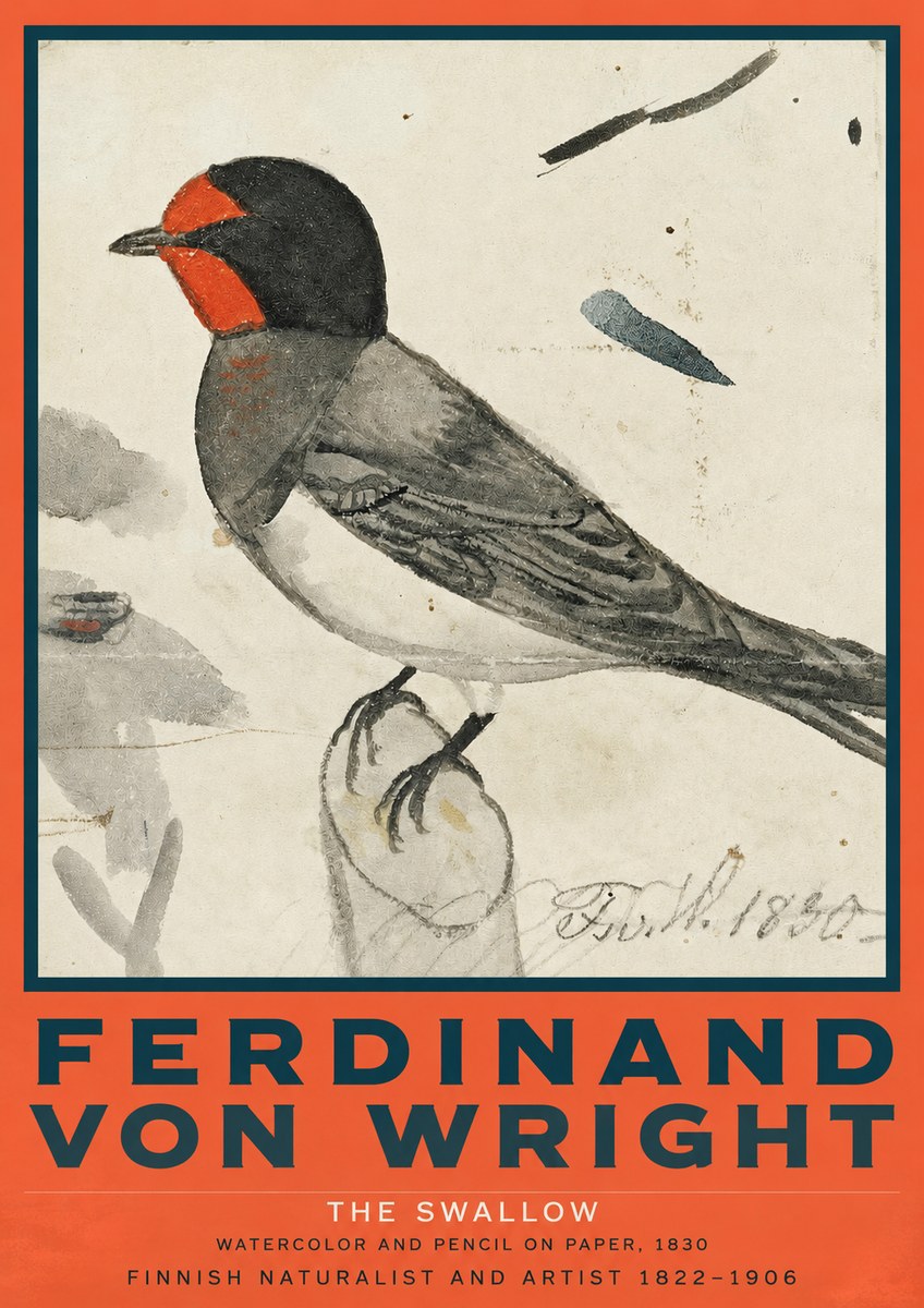 Ferdinand von Wright The Swallow No2 - Plakat